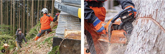 左）現場中の先輩と辻脇さん、右）伐採作業