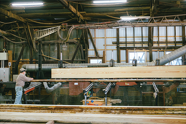 大型機械で製材される一本の木