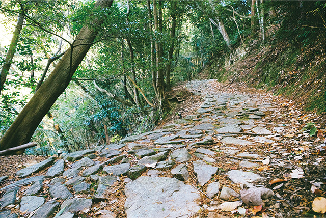 石畳の坂道が続く鹿ヶ瀬峠