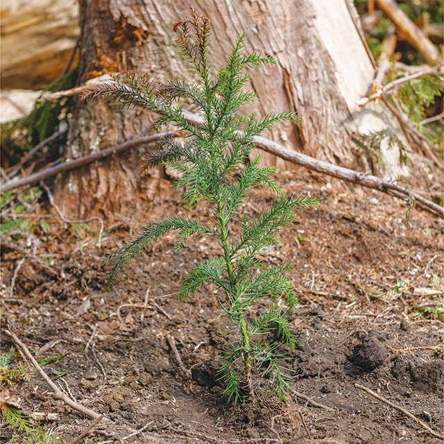 和 vol.59 イメージ