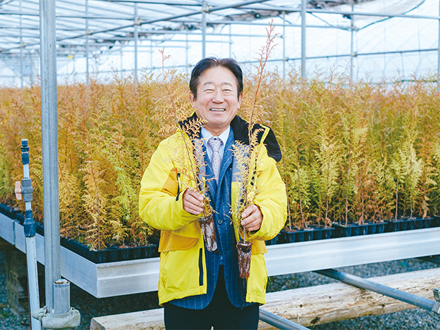 特集-4-のイメージ。苗木作り