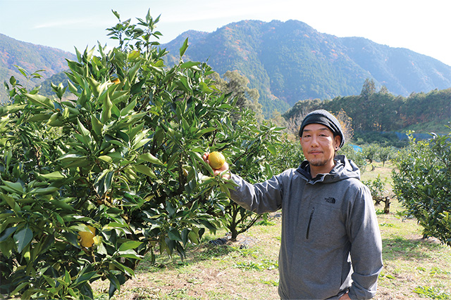 【わかやま産品 テロワール】のイメージ。じゃばら