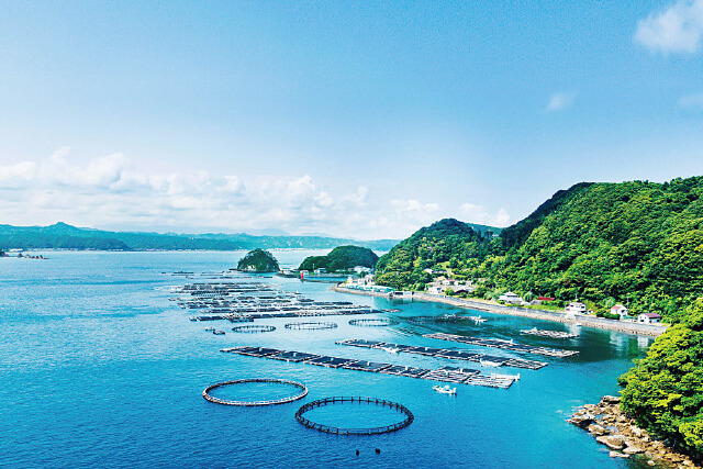 波穏やかな紀伊大島に浮かぶ養殖イカダ