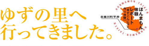 ق܂̌|[gu䂸ɂႭ̌v@䂸̗֍sĂ܂B