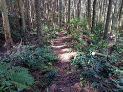 熊野参詣道