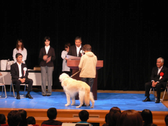 長寿犬の表彰式