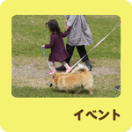 イベント