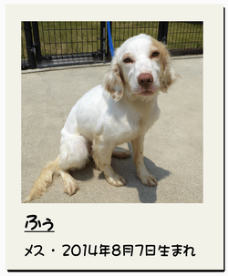 ふぅ