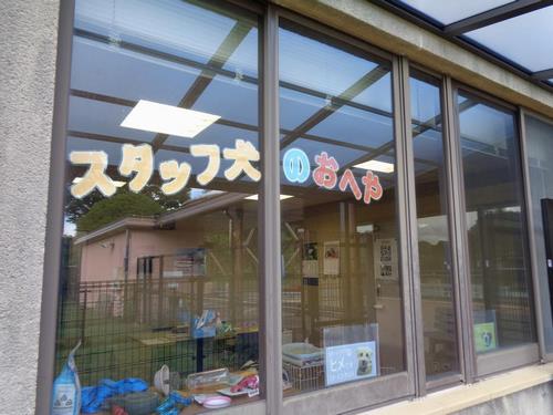 スタッフ犬のお部屋