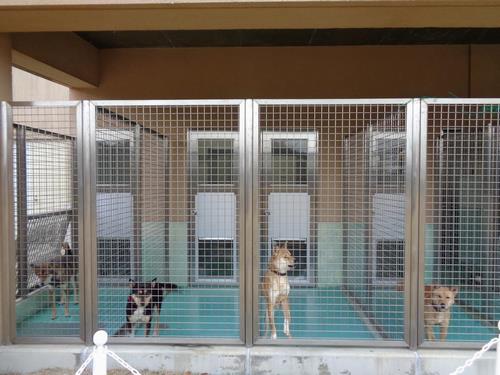 犬のお部屋