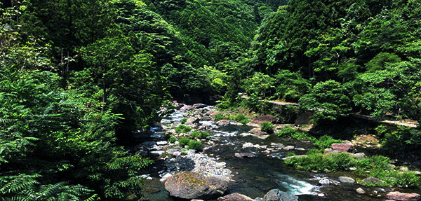 玉川峡