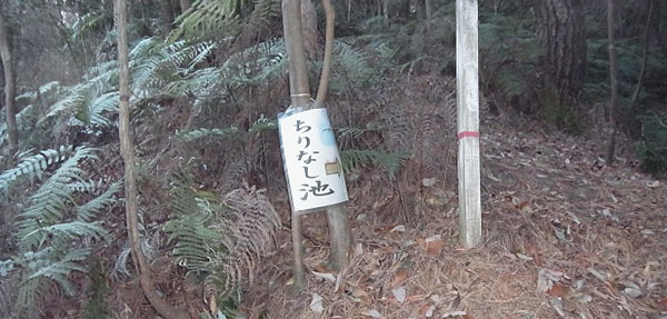 ⑤塵無(ちりなし)池分岐