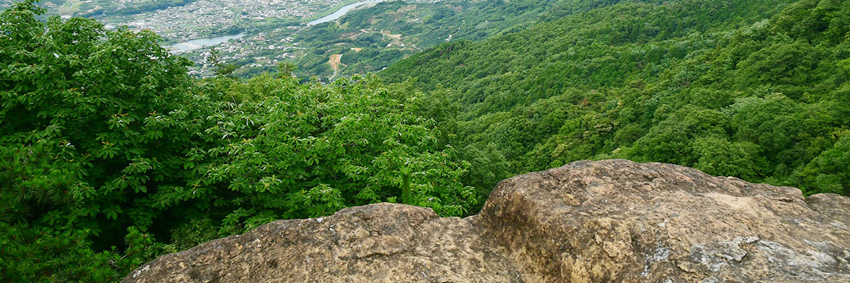 Ryumonzan Wakayama natural Park