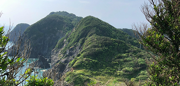 宮崎の鼻