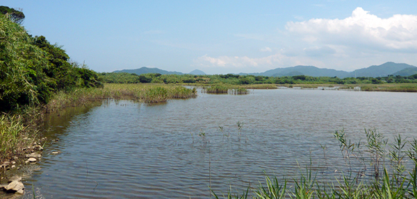 阿尾湿地