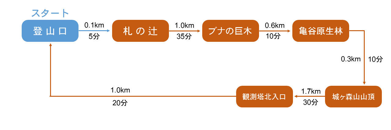 歩行時間・歩行距離の詳細