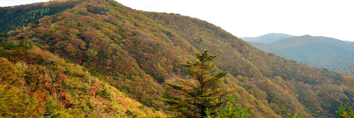 城ヶ森鉾尖県立自然公園