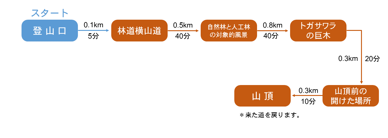 歩行時間・歩行距離の詳細