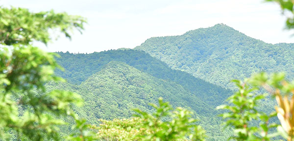 百間山山頂