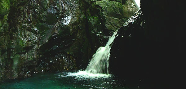 植魚の滝