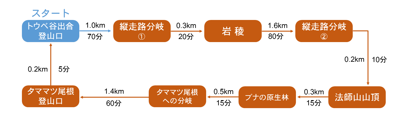 歩行時間・歩行距離の詳細