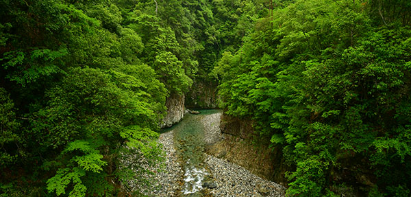 和田川峡