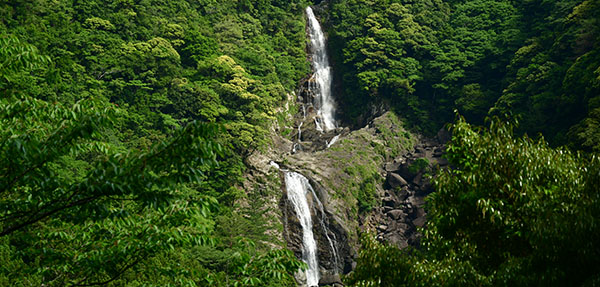 鼻白の滝