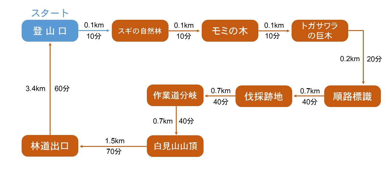 歩行時間・歩行距離の詳細