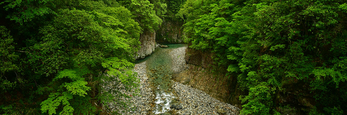 白見山和田川峡県立自然公園