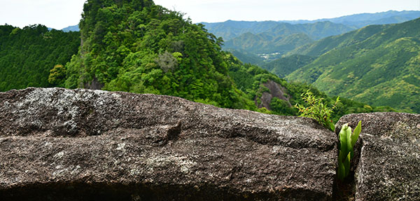 ⑦嶽ノ森山・下ノ峰