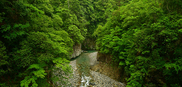 白見山和田川峡県立自然公園