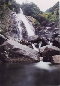 鼻白の滝の写真