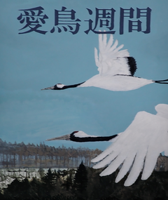 2 hamabata