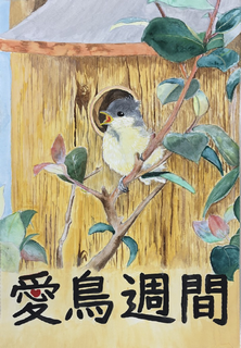 7 kubo