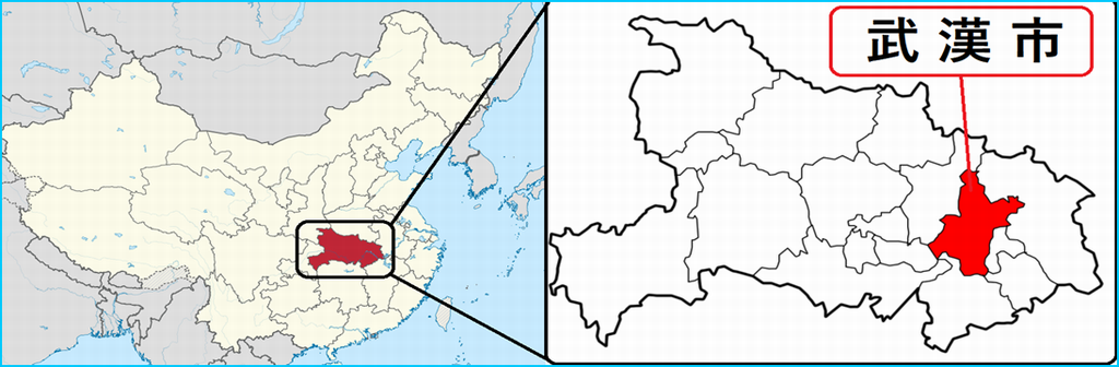 和歌山 県 コロナ 感染 者 最新 情報