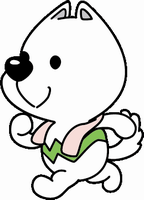 hasiru