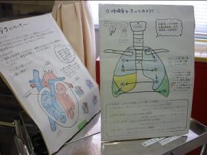 呼吸音聴取体験で聴診器を当てる場所の図