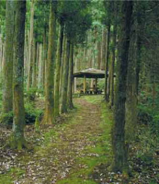 中辺路の熊野古道の写真