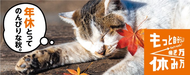 猫が休んでいる画像