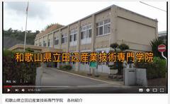 動画（各科）