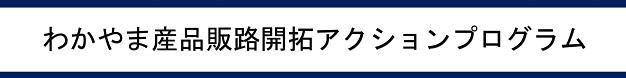 アクションプログラム
