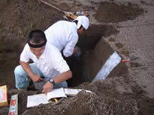 土壌断面調査及び土壌モノリスの採取の画像