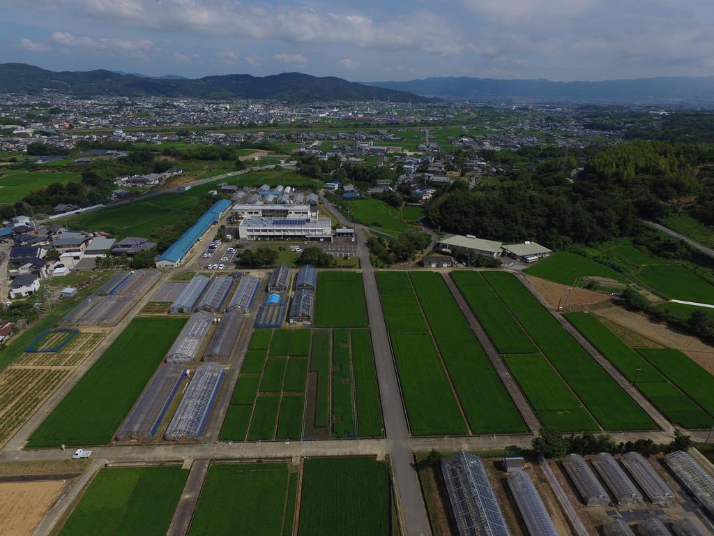 ドローンから望む場全景の画像