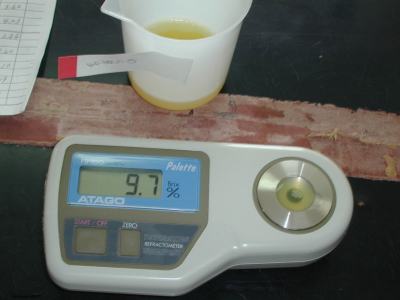 糖度測定の写真