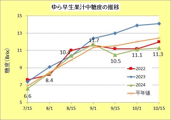 R51015ゆら糖度