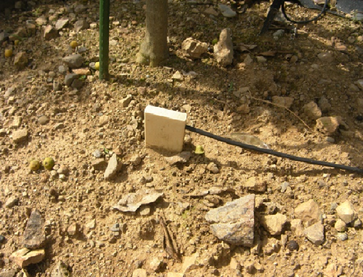 土壌調査の写真