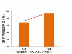 筋肉内脂肪含量グラフ