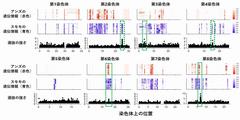 図3　日本のウメにおけるアンズおよびスモモからの遺伝子流動とそれらに対する選抜