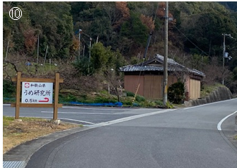 「うめ研究所」の看板で左折