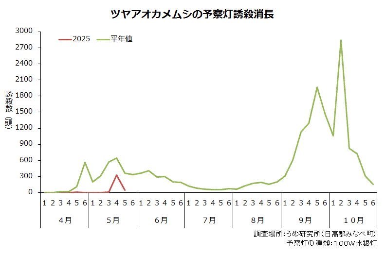 ツヤアオカメムシの予察灯誘殺消長